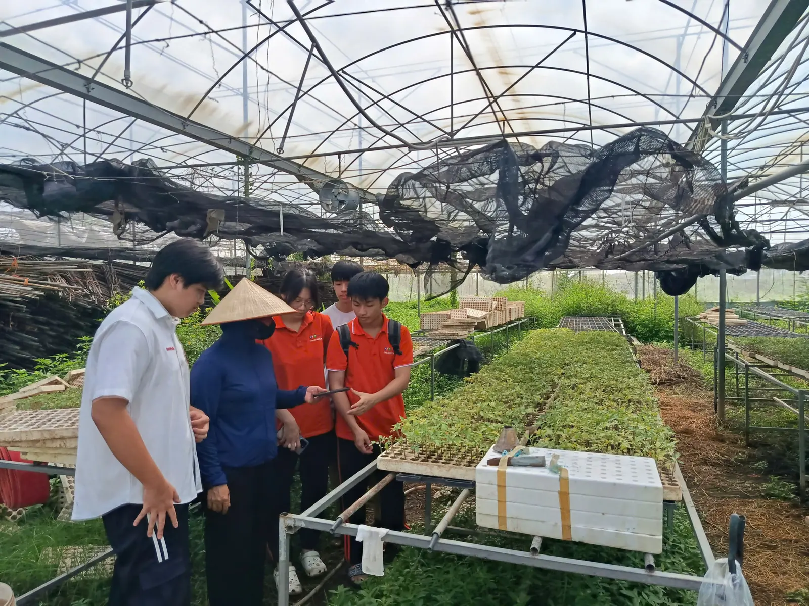 Trong nhà lưới, một sinh viên đưa điện thoại cho người trồng xem bên luống cây giống